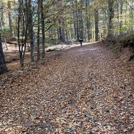 Antico Borgo - Via Napoli, 2 Hébergement de vacances