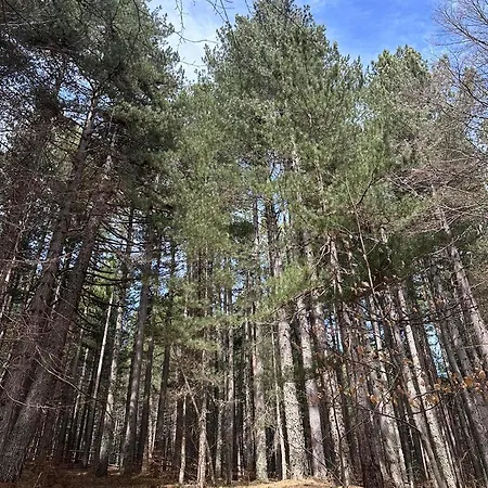 Antico Borgo - Via Napoli, 2 *